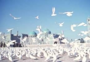 Acquaintance to Mazar-e Sharif